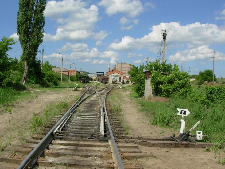 Новоселівка з panoramio.com - Новоселівка