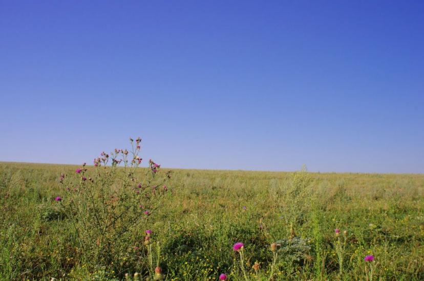 Браїлівка з panoramio.com - Браїлівка