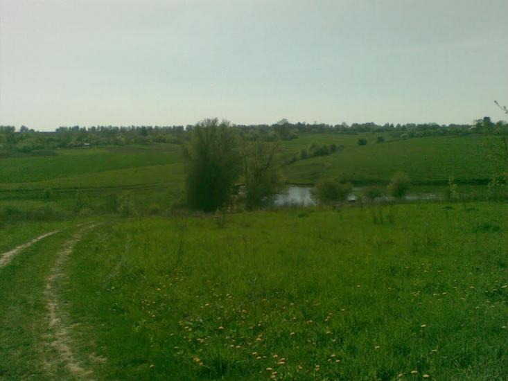 Ковалівка з panoramio.com - Ковалівка