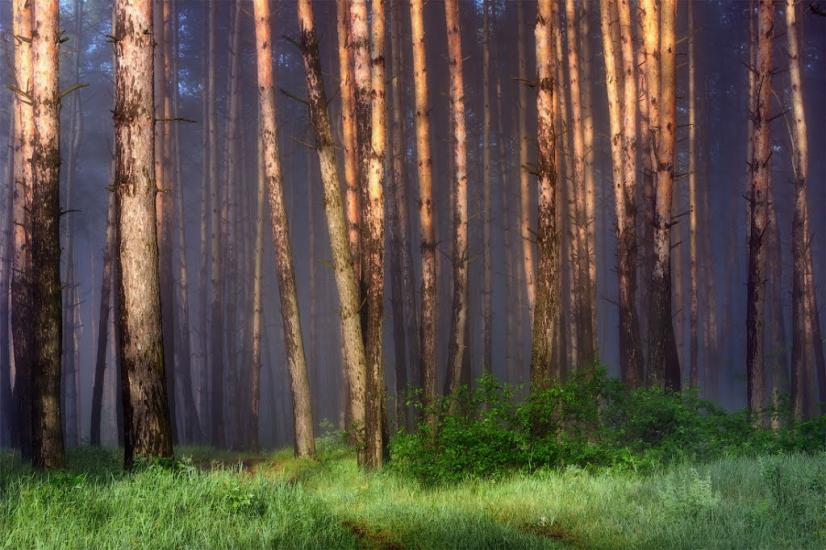 Вовчанськ з panoramio.com - Волчанск