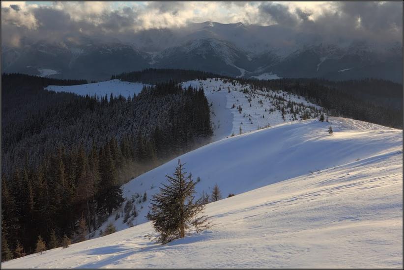 Кривопілля з panoramio.com - Kryvopillya