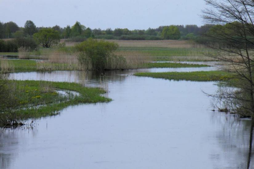 Озерне з panoramio.com - Ozerne