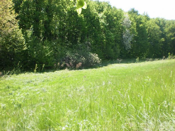 Зятківці з panoramio.com - Зятковцы