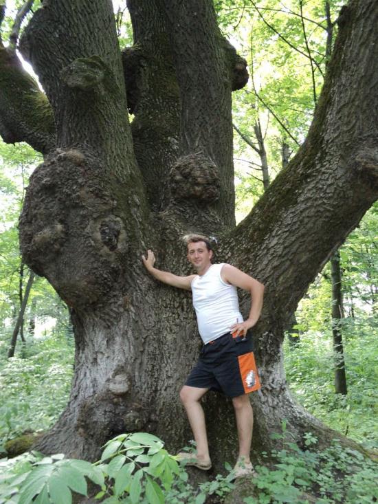 Турчинці з panoramio.com - Турчинцы