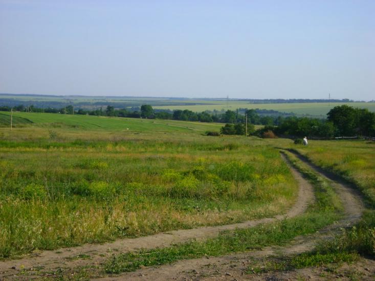 Балахівка з panoramio.com - Балаховка