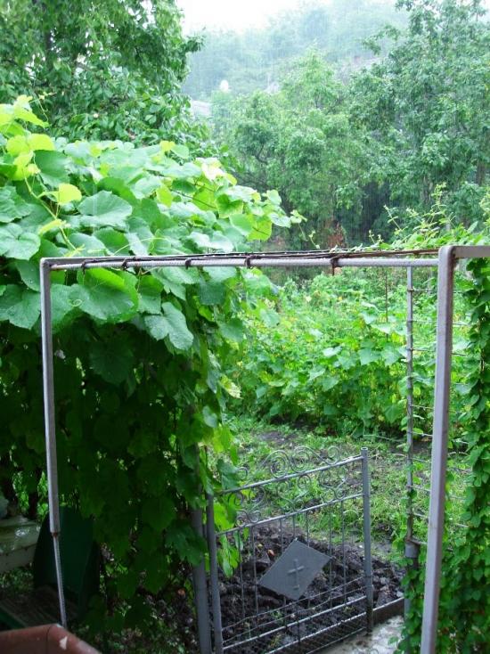 Якторів з panoramio.com - Якторів