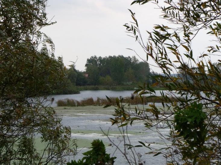 Аршичин з panoramio.com - Аршичин