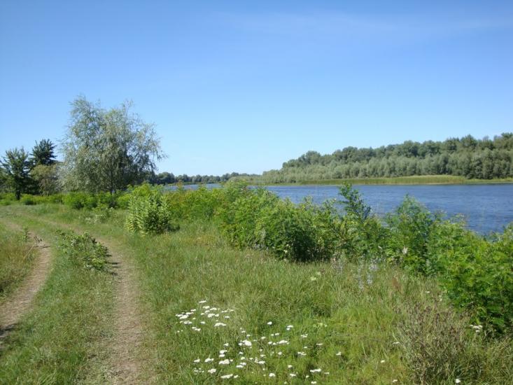 Хрещатик з panoramio.com - Хрещатик