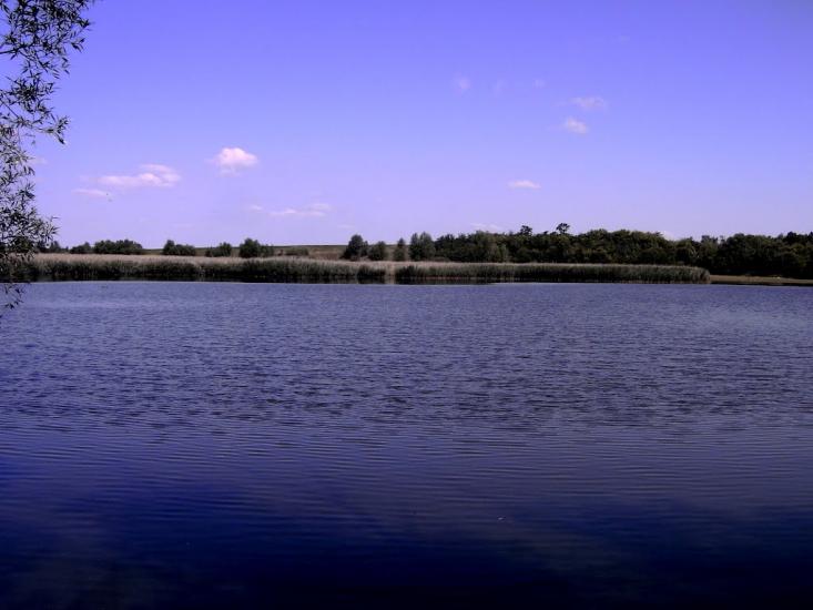 Борщагівка з panoramio.com - Борщагівка