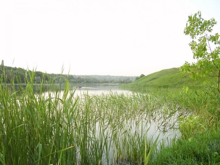 Золоте з panoramio.com - Золотое