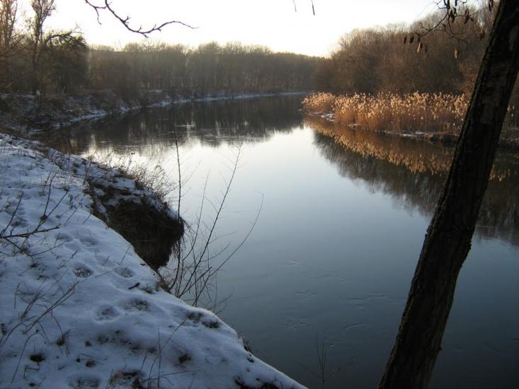 Пискунівка з panoramio.com - Pyskunivka