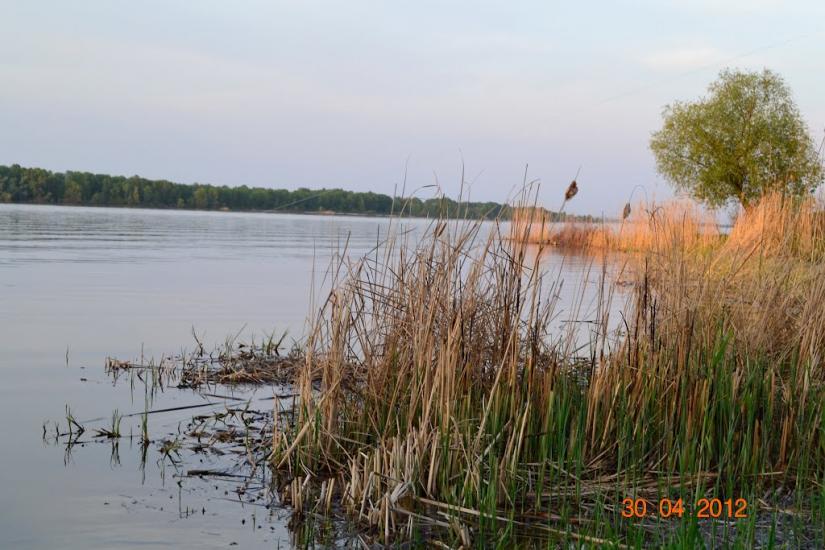 Садки з panoramio.com - Садки