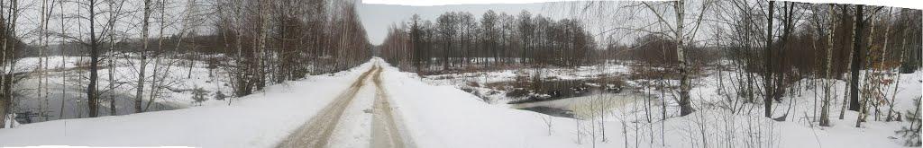 Рудня-Гацьківка з panoramio.com - Рудня-Гацьківка