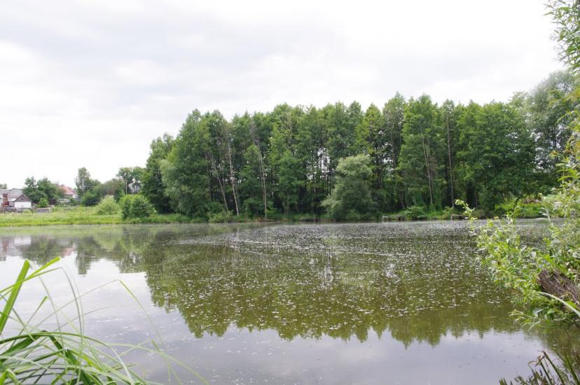 Блиставиця з panoramio.com - Блиставиця