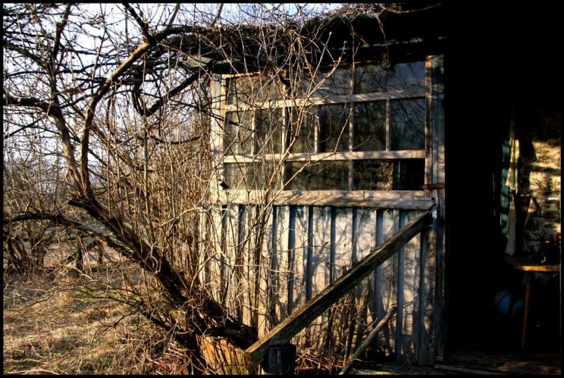 Придеснянське з panoramio.com - Придеснянське