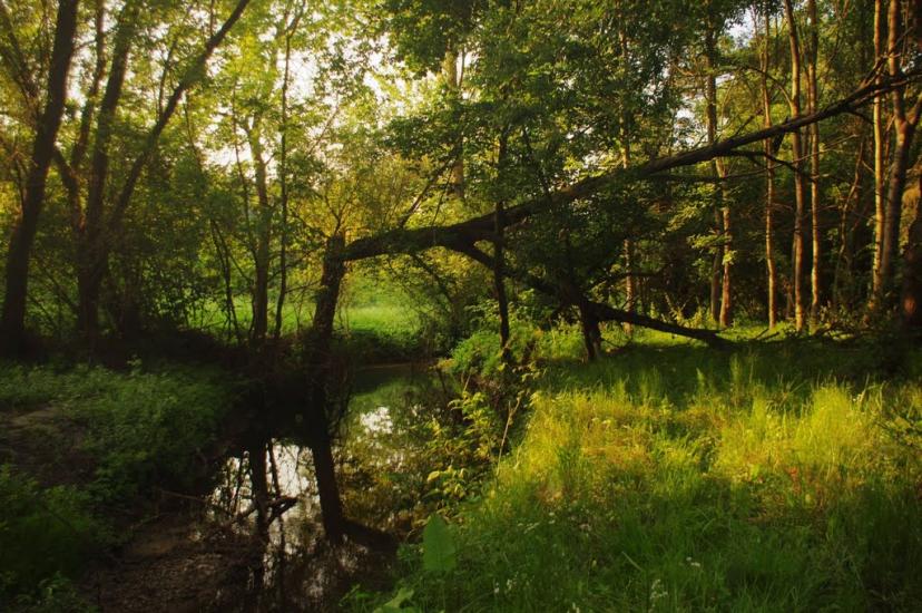 Браїлівка з panoramio.com - Брайловка