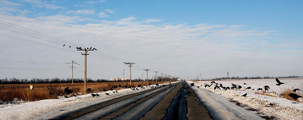 Якимівка з panoramio.com - Акимовка