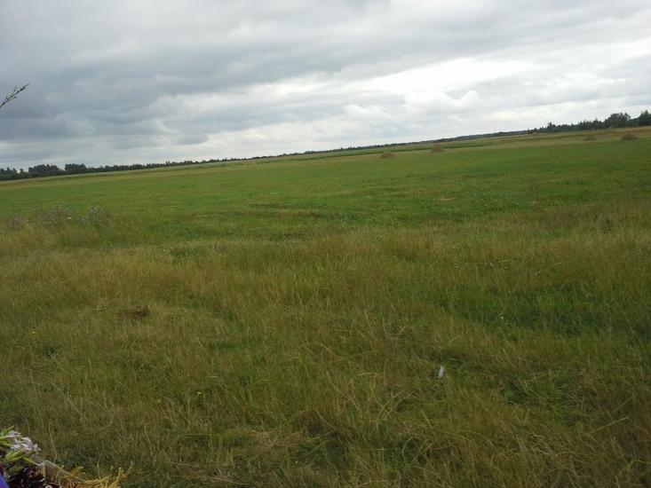 Сошники з panoramio.com - Сошники