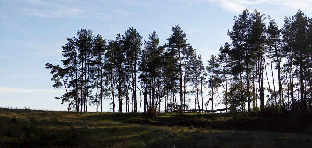 Миропіль з panoramio.com - Мирополь