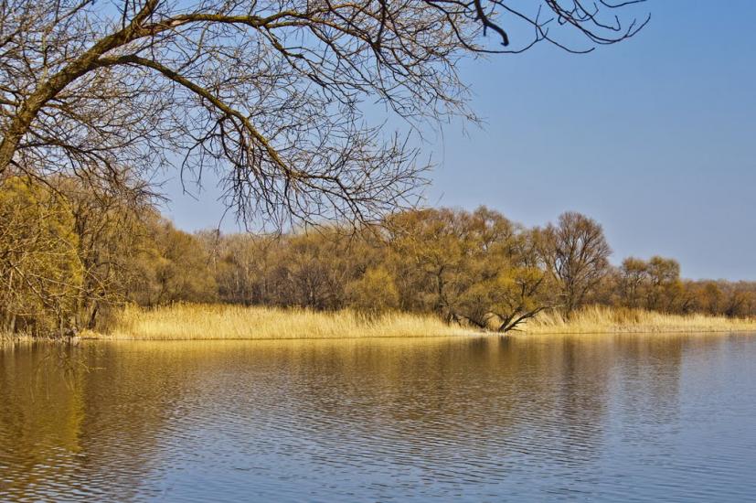 Хотімля з panoramio.com - Khotimlya