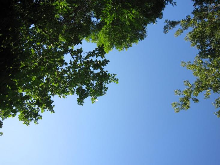 Красний Партизан з panoramio.com - Красний Партизан