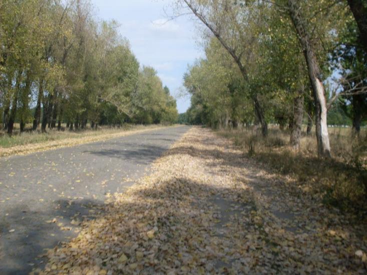 Зятківці з panoramio.com - Зятковцы