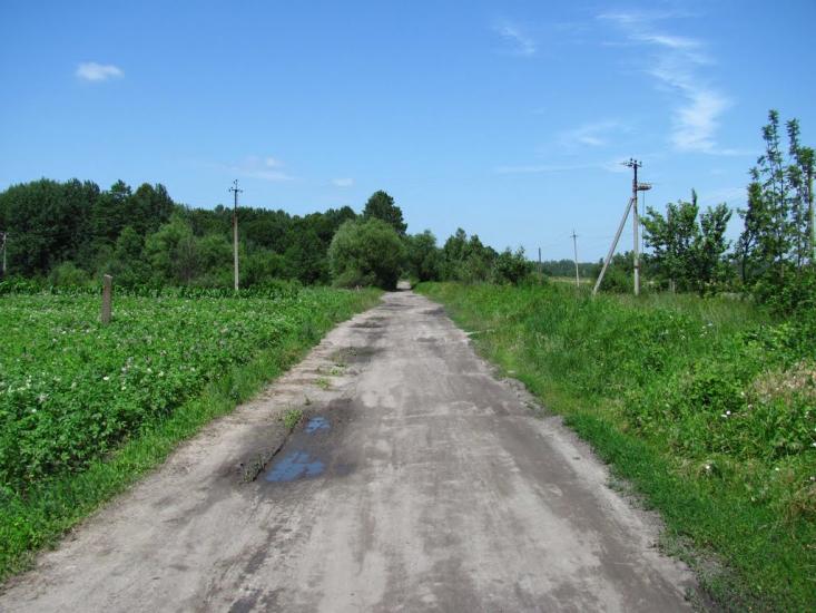 Дубовець з panoramio.com - Дубовець