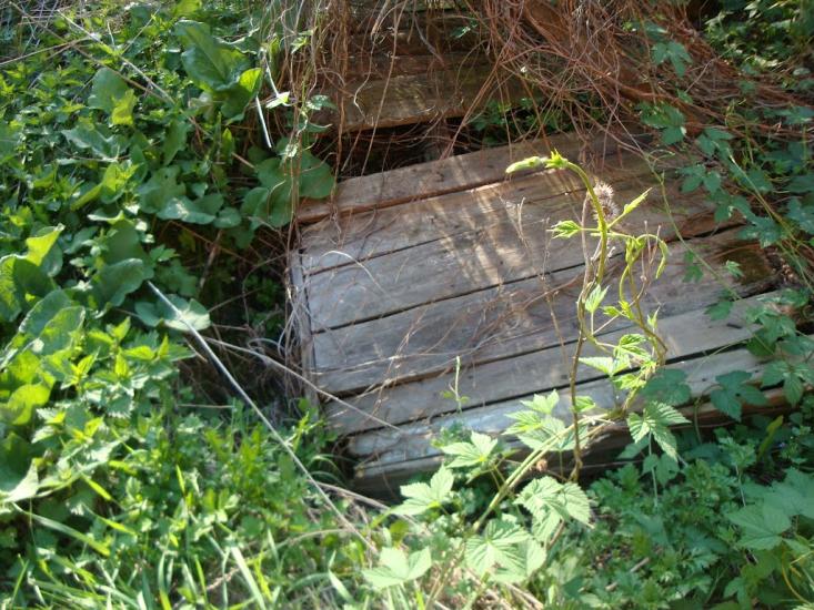 Дацьки з panoramio.com - Datsky