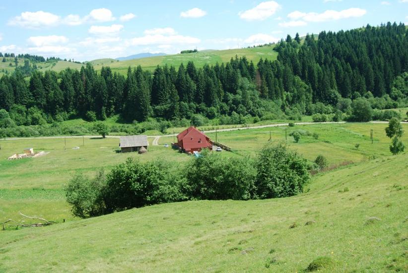 Річка з panoramio.com - Річка