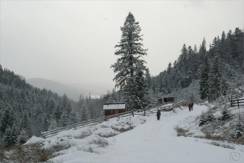 Згари з panoramio.com - Згары
