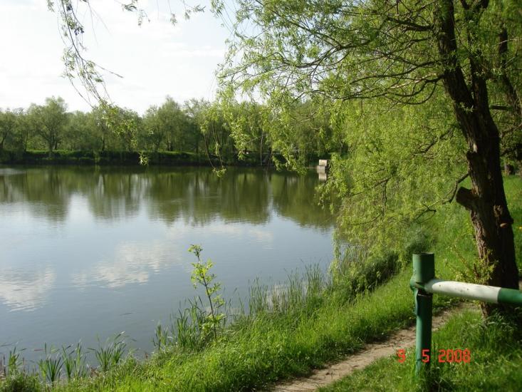 Городище з panoramio.com - Городище