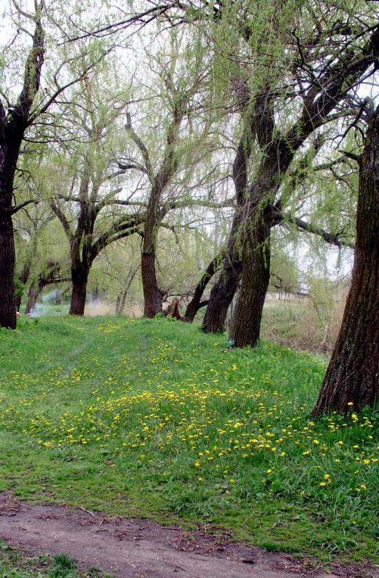 Чернігівка з panoramio.com - Чернігівка