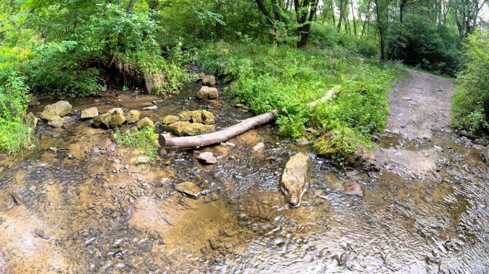 Мигія з panoramio.com - Mygiya