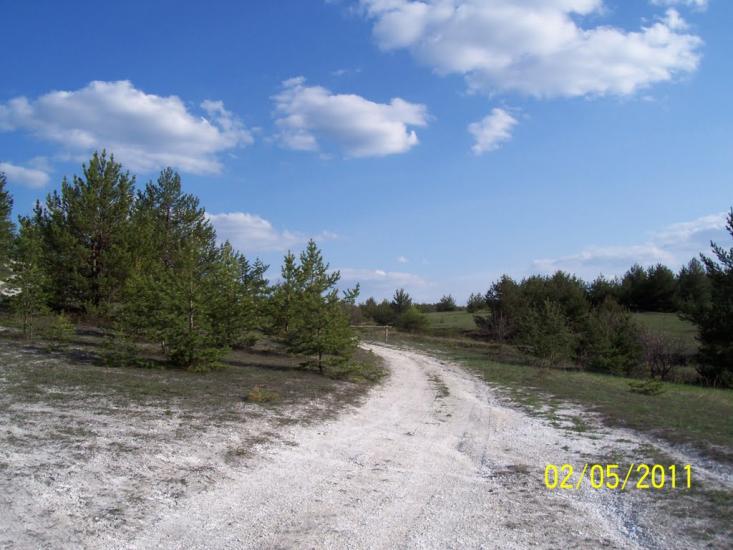 Пискунівка з panoramio.com - Пискуновка