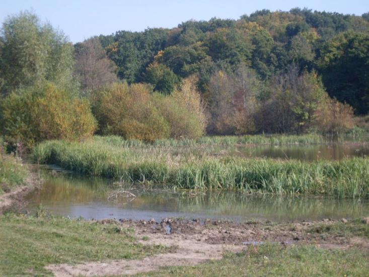 Зятківці з panoramio.com - Зятківці