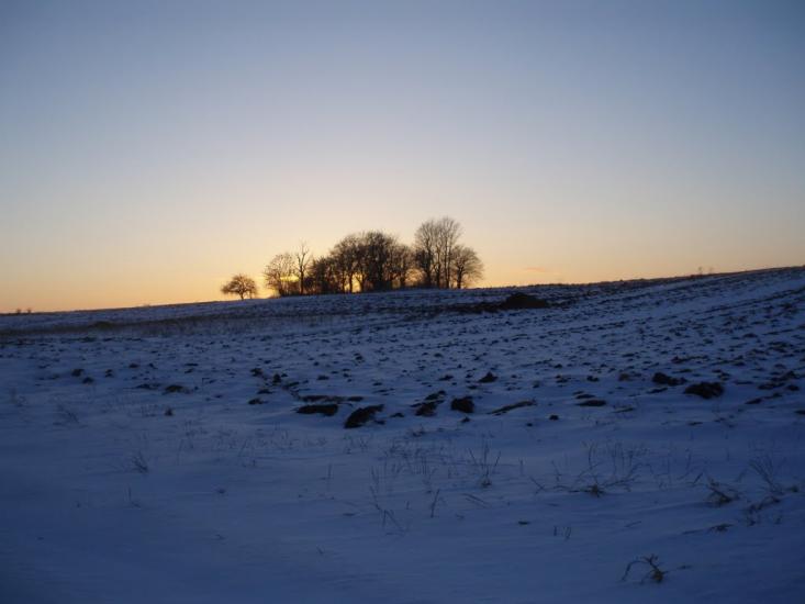 Рогізне з panoramio.com - Рогозное