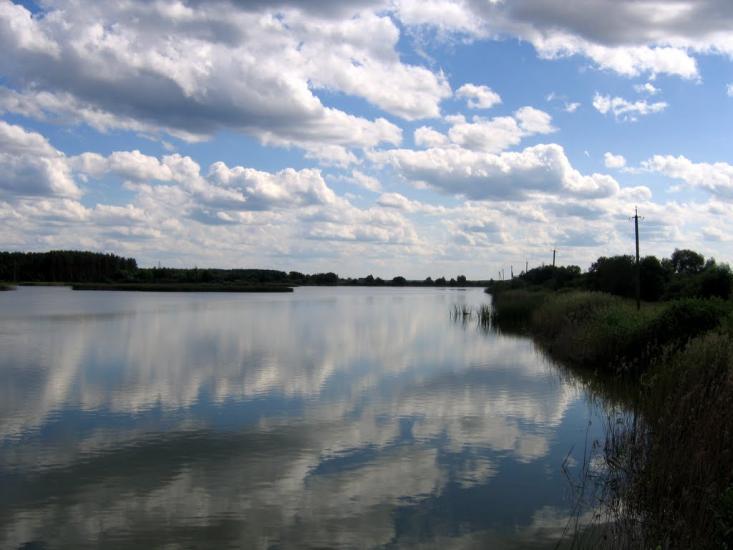 Вишевичі з panoramio.com - Vyshevychi