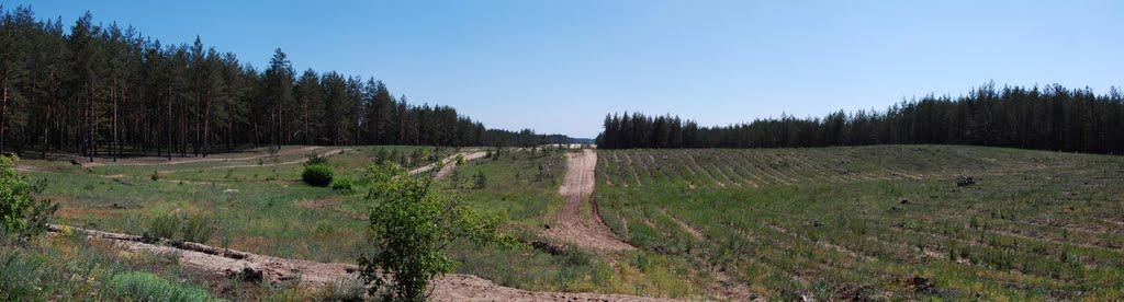 Рудневе з panoramio.com - Руднево