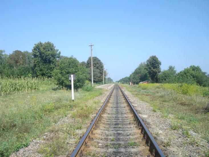 Тарасівка з panoramio.com - Тарасовка