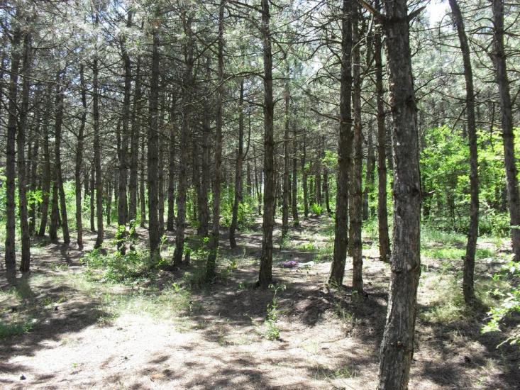 Калинівка з panoramio.com - Калинівка
