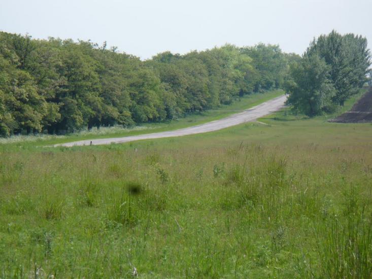 Барвінкове з panoramio.com - Барвенково