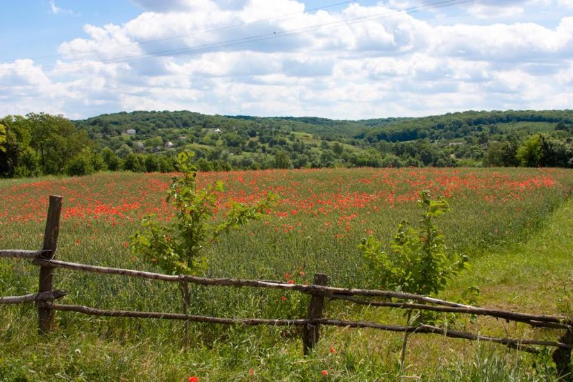 Дзюньків з panoramio.com - Дзюньків