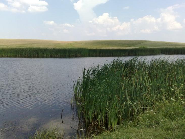 Пінчуки з panoramio.com - Пинчуки