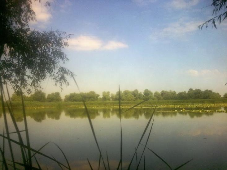 Кринки з panoramio.com - Крынки