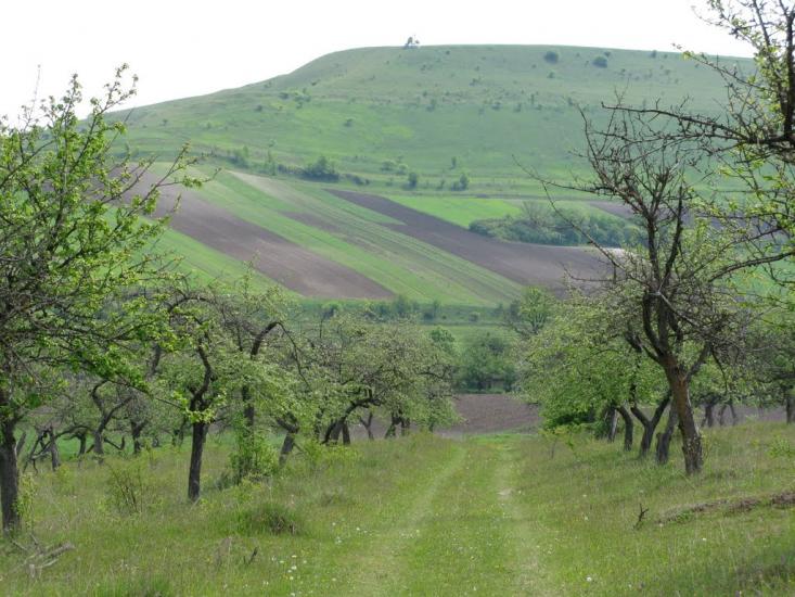 Слов'ятин з panoramio.com - Слов'ятин