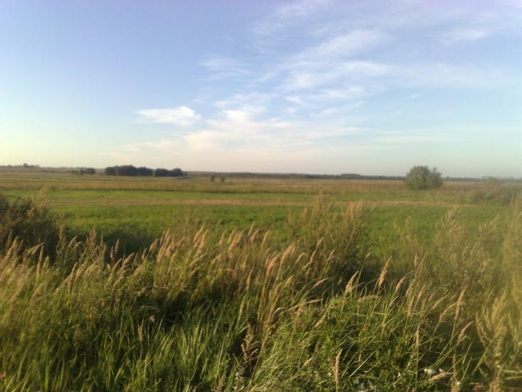 Осекрів з panoramio.com - Осекров