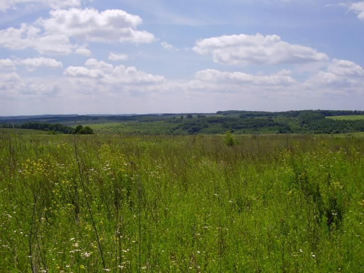 Красносілка з panoramio.com - Красносілка