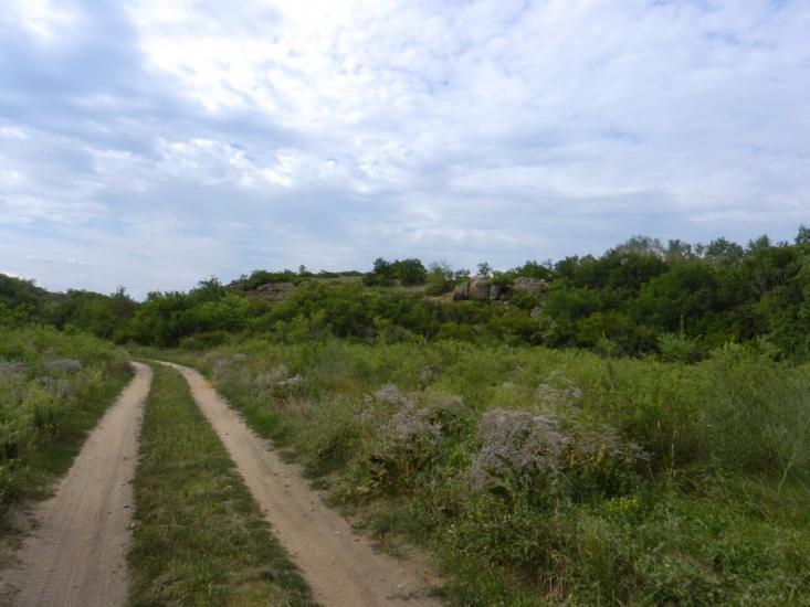 Куріпчине з panoramio.com - Kuripchyne