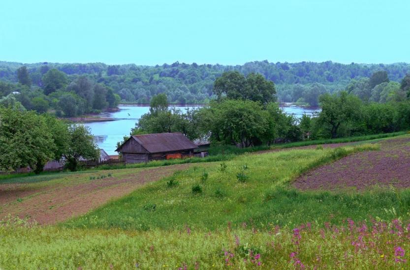 Будище з panoramio.com - Будище