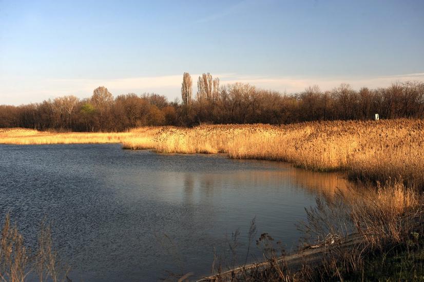 Мар'їнка з panoramio.com - Марьинка